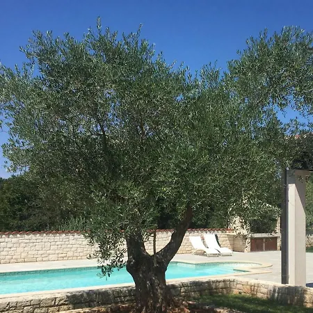 Mali Raj * Zikovici